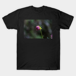 FLOWER T-Shirt